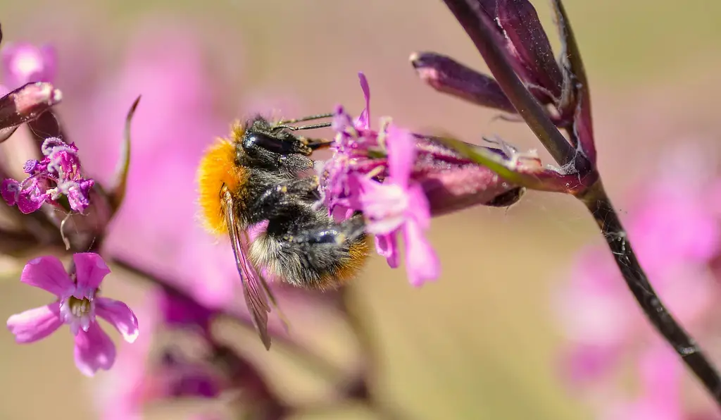 創業,從何開始?破除迷思,開創藍海商機!